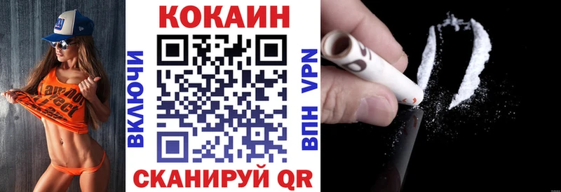 Cocaine FishScale  как найти наркотики  Каменка 