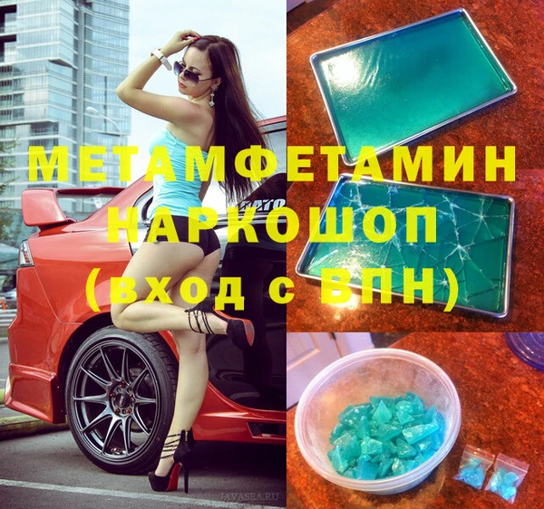 прущие грибы Заволжск