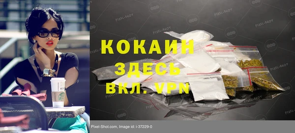 прущие грибы Заволжск