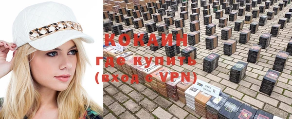 прущие грибы Заволжск