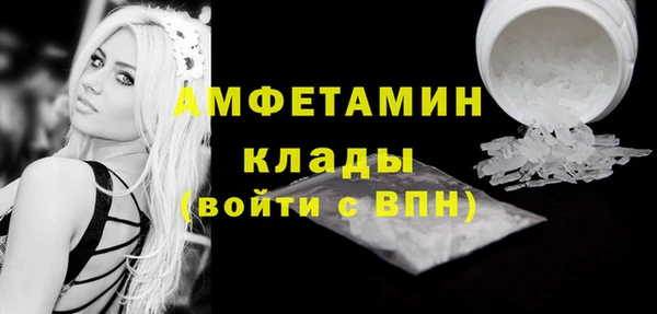 прущие грибы Заволжск