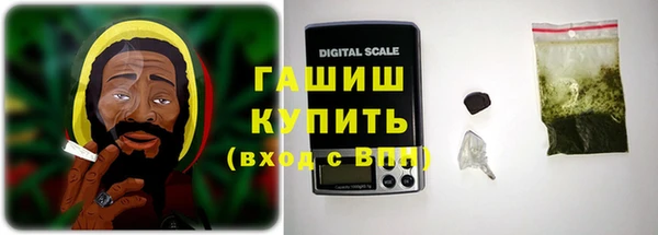 прущие грибы Заволжск