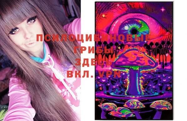 ECSTASY Заволжье